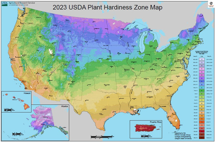 Planting Zones (USDA Hardiness Zones)