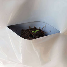 Load image into Gallery viewer, 50 Grow Plugs used for starting plants in the GrowMesh Garden kits
