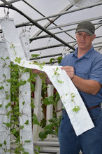 Load image into Gallery viewer, 32 Plant Vertical Hydroponic Sleeve
