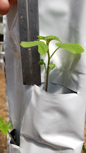 Load image into Gallery viewer, 32 Plant Vertical Hydroponic Sleeve
