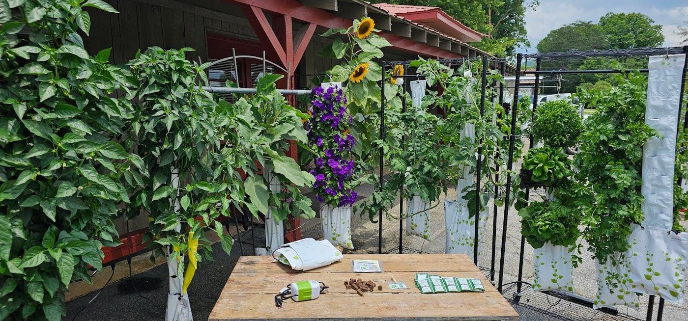 A row of GrowMesh gardens on a table outdoors